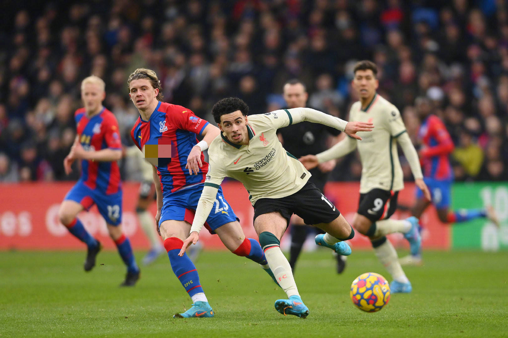 展提供了强 展提供了强